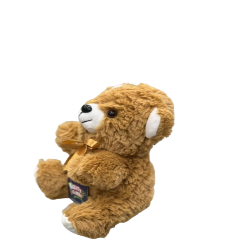 BROWN TEDDY BEAR S
